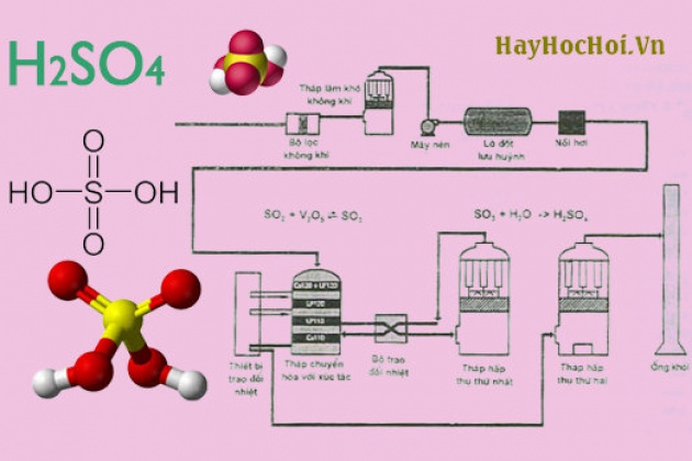 Axit sunfuric tác dụng với oxit bazo tạo thành muối mới, trong đó kim loại giữ nguyên hóa trị và tạo thành nước. Ví dụ: FeO + H2SO4 → FeSO4 + H2O.
